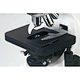 Fluorescence Binocular Microscope