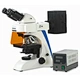 Fluorescence Binocular Microscope